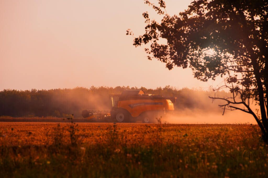 W rachunku bieżącym